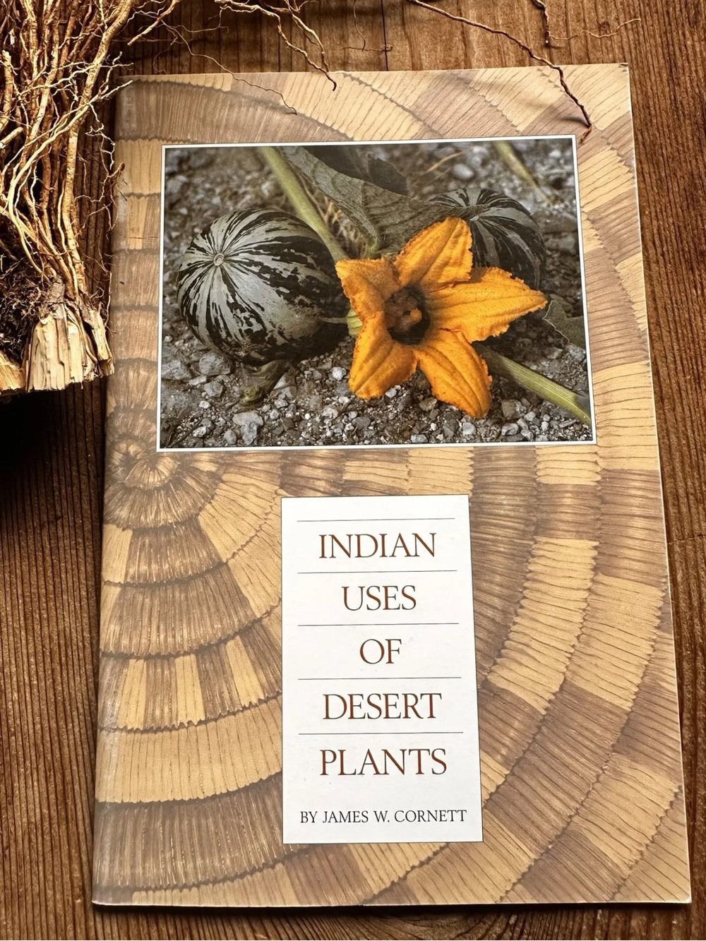 Indian Uses of Desert Plants Vintage Herbal Wildcraft 90’s Plant Medicine